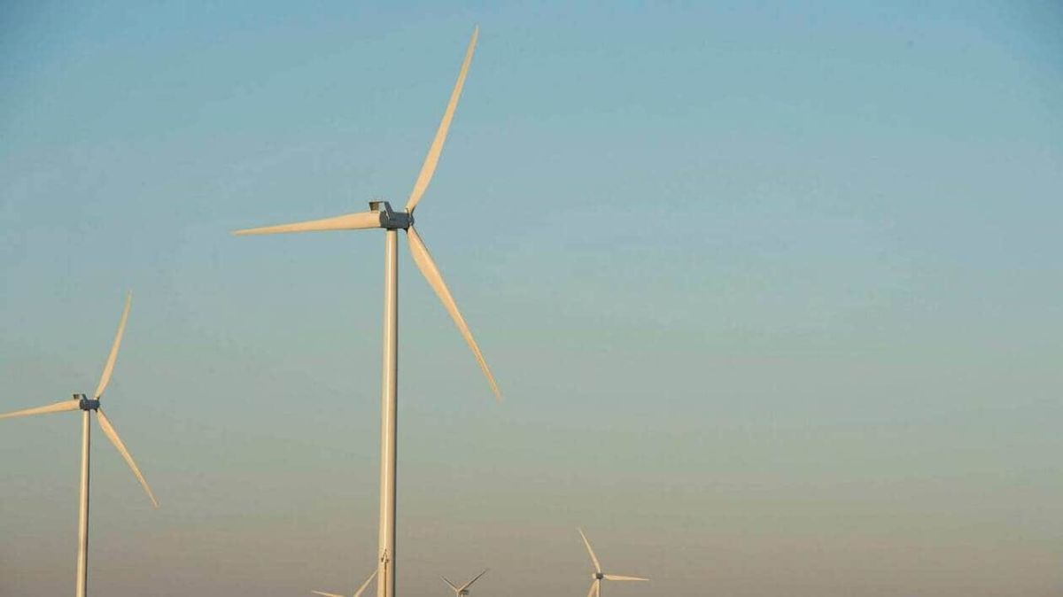 Un projet éolien enterré pour préserver les chauves-souris en Sarthe