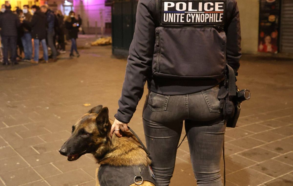 Un contrôle surprise des policiers au lycée : des élèves face aux dangers des stupéfiants