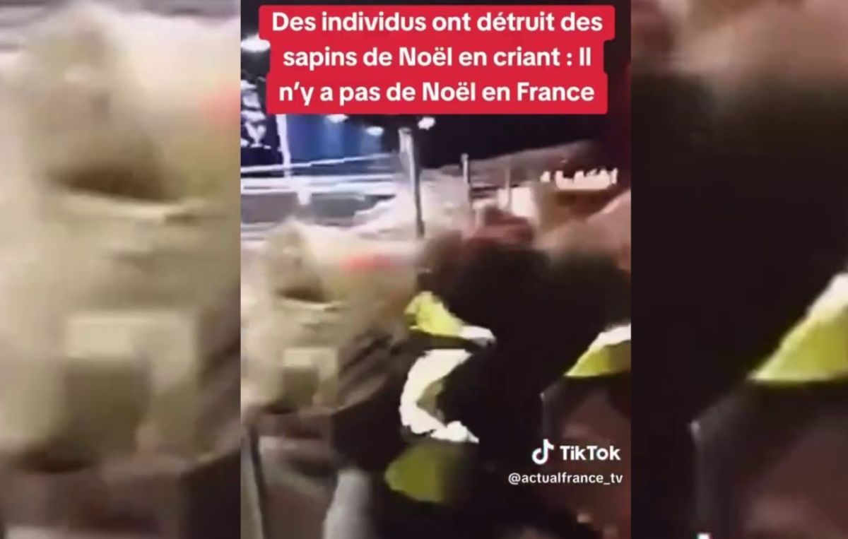 Des sapins arrachés à Paris : une vidéo choc relance la polémique