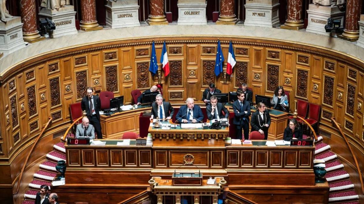 Le Sénat opte pour une réduction de 200 millions d'euros sur l'Aide médicale d'État