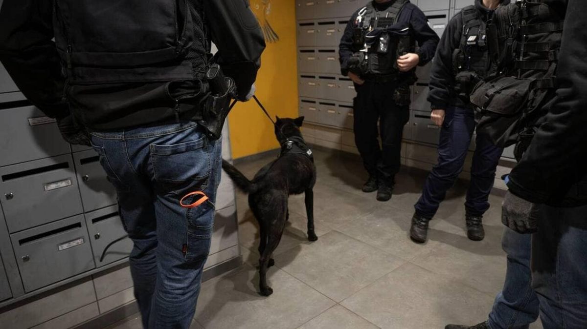 De victime à accusé : un Nantais jugé pour détention d'arme après une blessure par balle