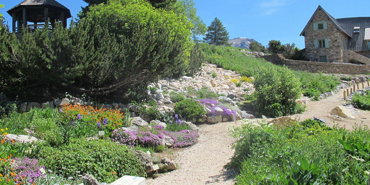 À la découverte du jardin botanique alpin du Lautaret