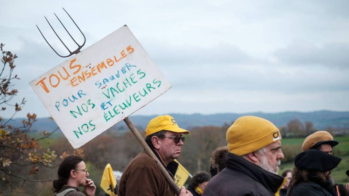 Mobilisation des agriculteurs en Ariège : quand la lutte s'intensifie contre l'abattage des bovins