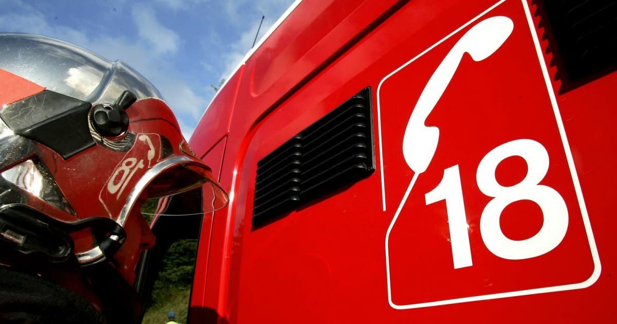 Terrible accident à Miribel-les-Échelles : un homme de 78 ans perd sa vie écrasé par un arbre