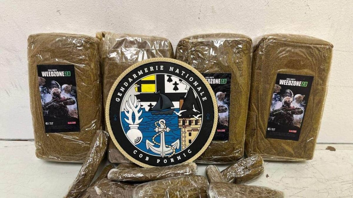 Un réseau de trafic de cannabis démantelé à Pornic : le dealer derrière les barreaux