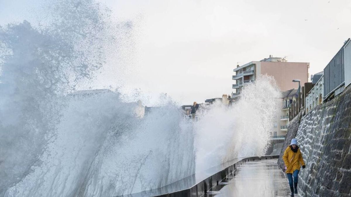 Agir face au dérèglement climatique : un appel à l'éveil collectif