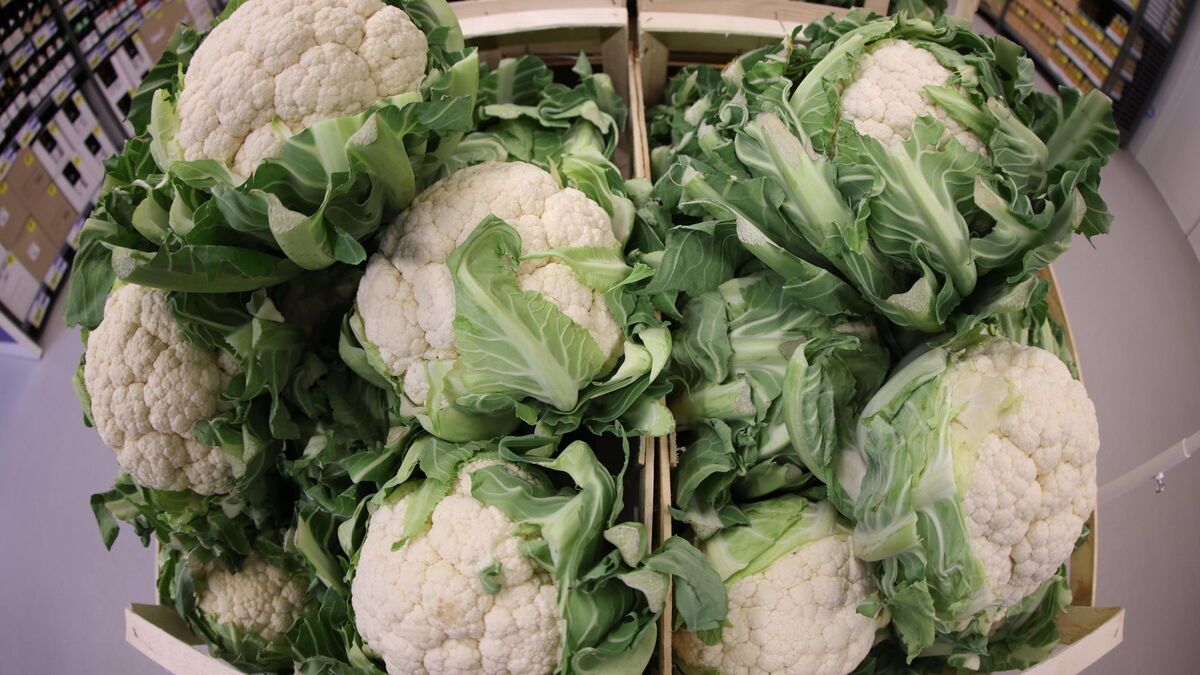 Sauvons le chou-fleur : la grande distribution se mobilise pour contrer la surproduction
