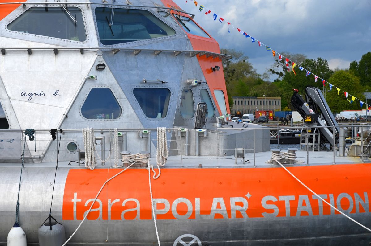 Expédition Tara : Un souffle d'espoir pour les récifs coralliens