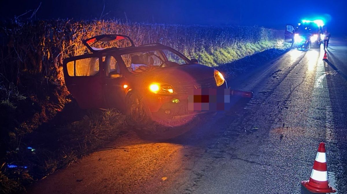 Accident évité de justesse : un conducteur se retrouve dans le fossé en fuyant un animal