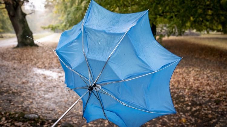 Risque de vents violents : 9 départements en alerte ce lundi