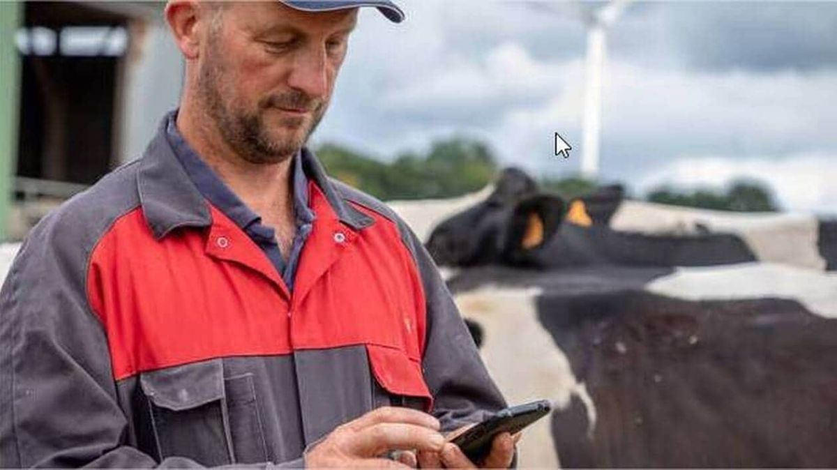 Innoval et l'IA : une révolution numérique pour les éleveurs bovins