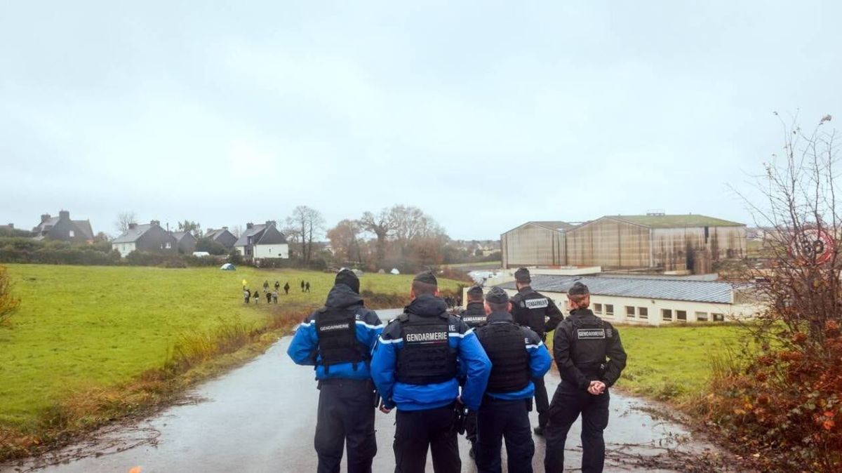 Des tensions éclatent lors d'une rave à Carhaix : un gendarme tire son arme