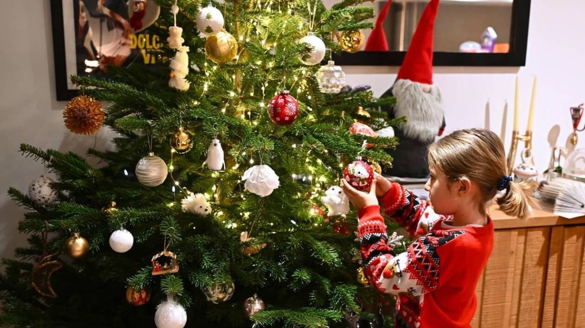 Que faire si la prime de Noël ne se manifeste pas ?