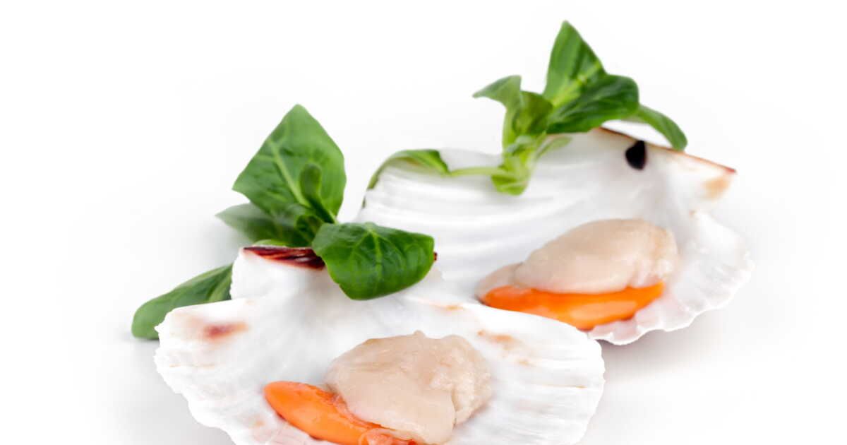 Les coquilles Saint-Jacques de Normandie, un délice festif pour Noël