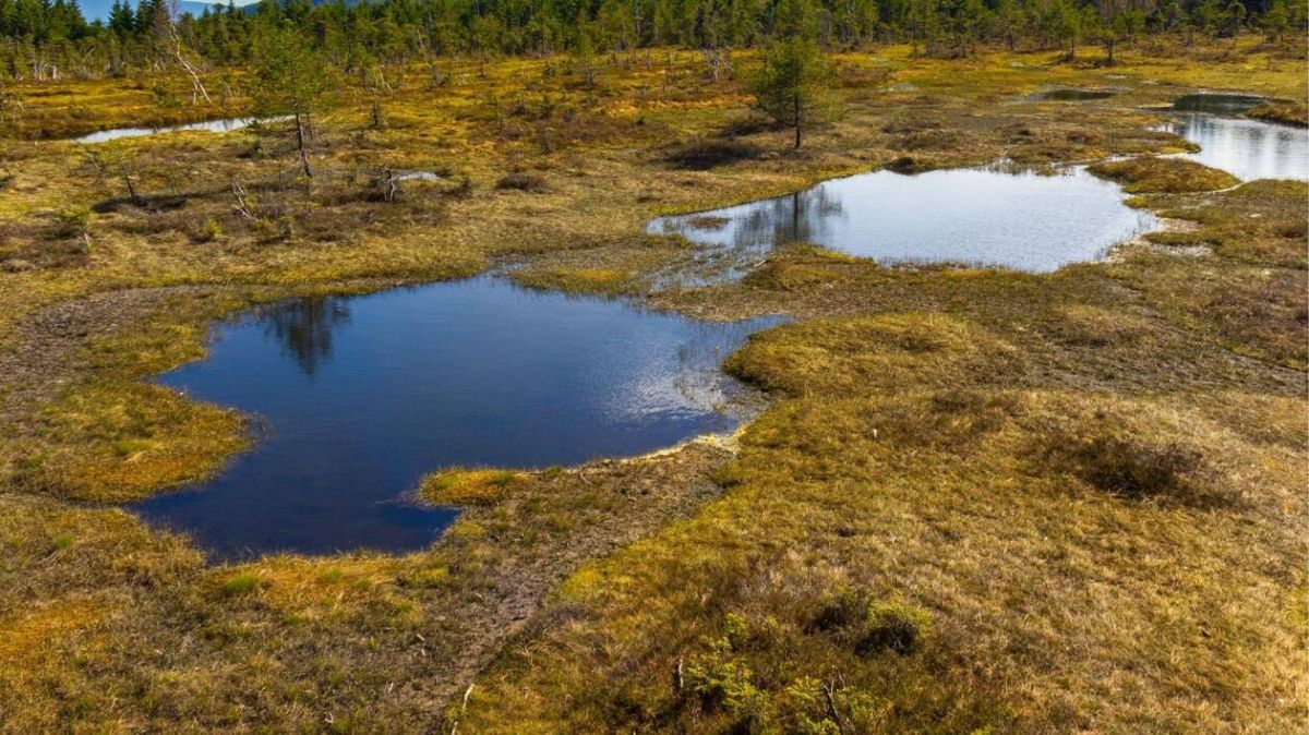 la coopérative climat bretagne : un nouvel espoir pour le développement durable
