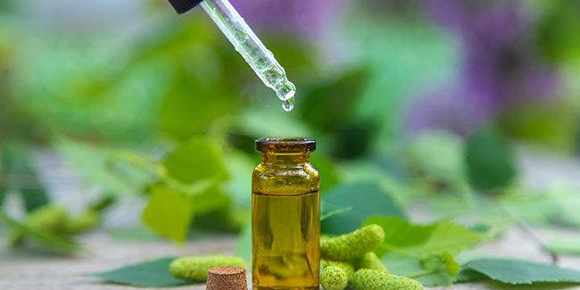 la magie des bourgeons : tout savoir sur la gemmothérapie