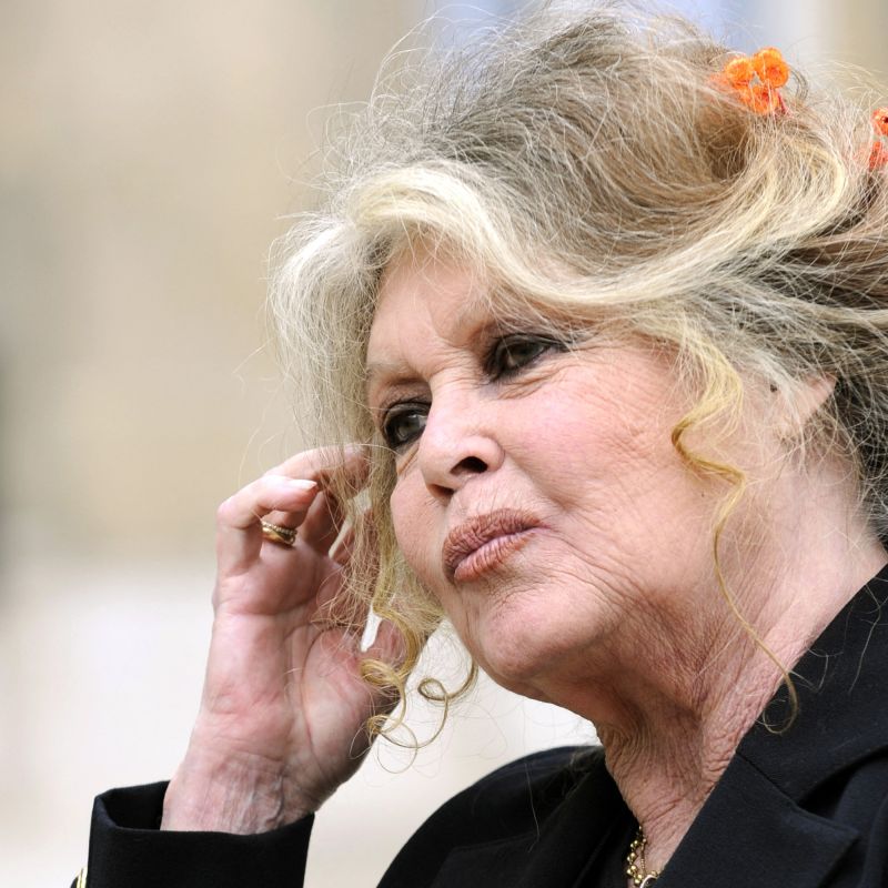 Brigitte Bardot : Une légende aux multiples facettes s'éteint