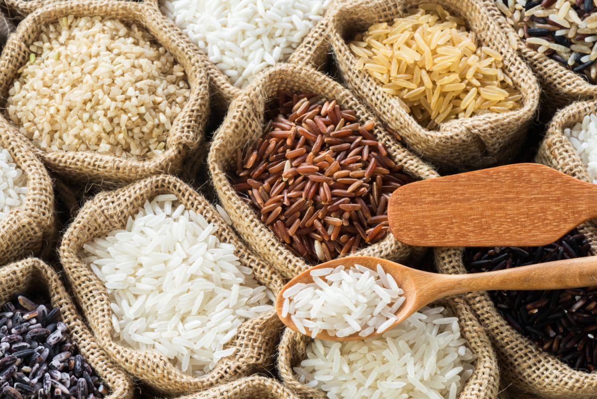 Quel riz choisir pour sublimer vos plats ?