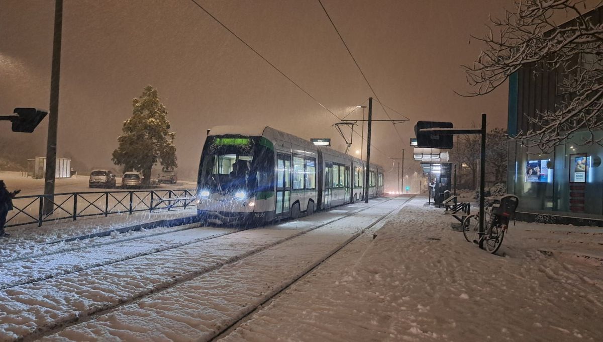 La neige paralyse la Loire-Atlantique : la circulation en état d'alerte