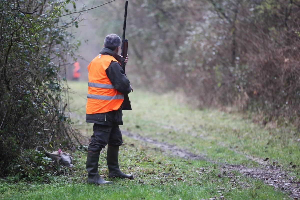 Un chasseur blessé dans une attaque inattendue d'un sanglier dans les Pyrénées-Atlantiques