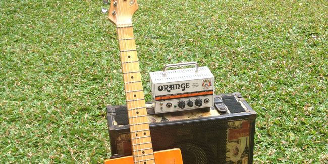 La musique : un remède insolite pour nos plantes ?