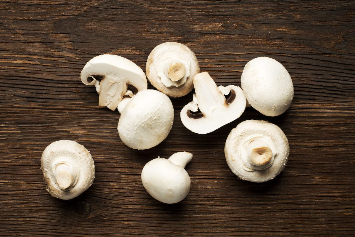 Comment conserver vos champignons fraîchement cueillis