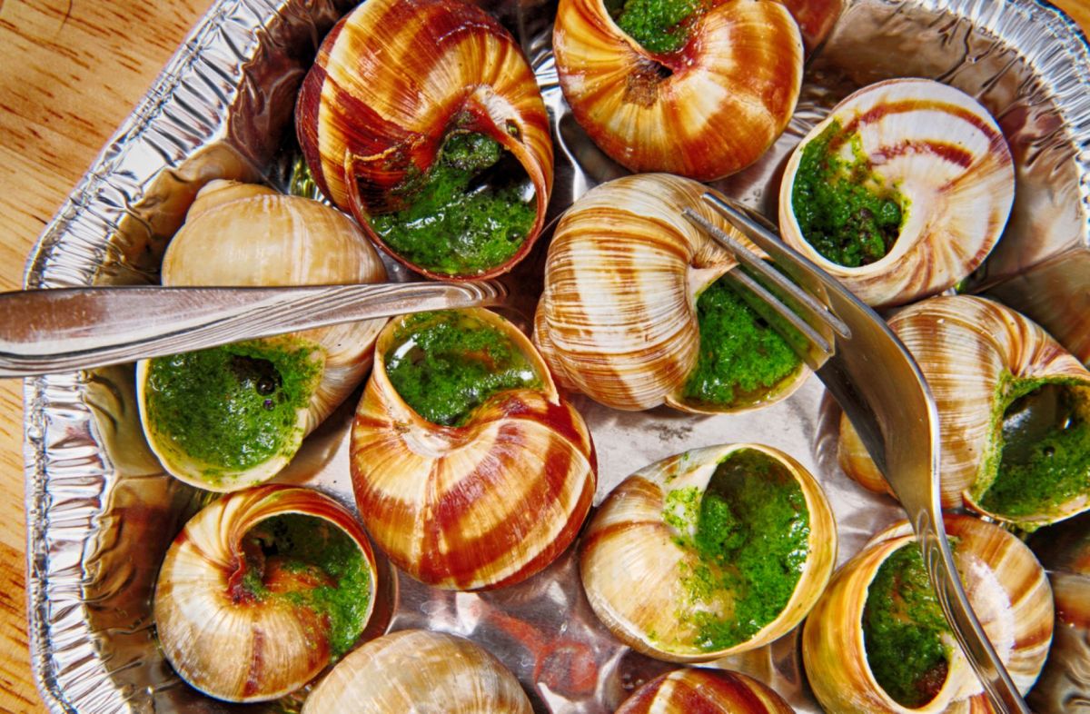Transformez vos coquilles d’escargot en trésor pour votre jardin
