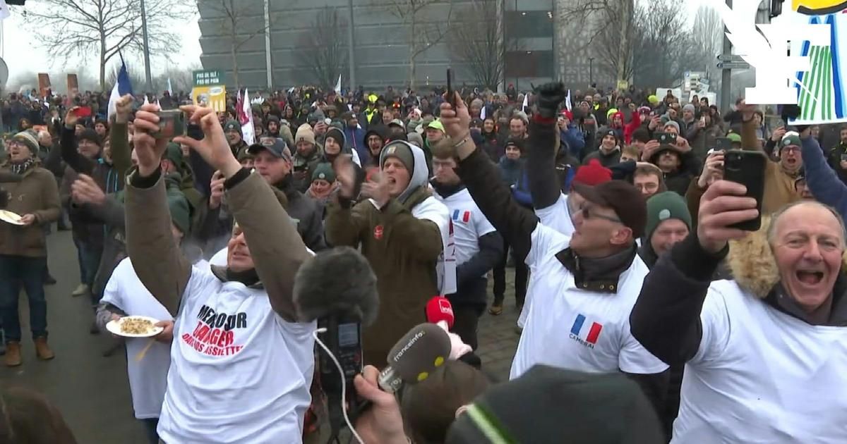 Les agriculteurs en liesse après le vote du Parlement européen sur le Mercosur