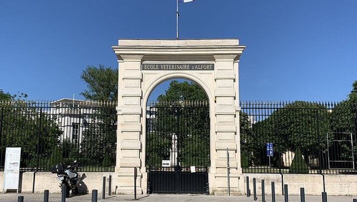 Suicides à l'école vétérinaire : un père appelle à l'urgence d'une intervention