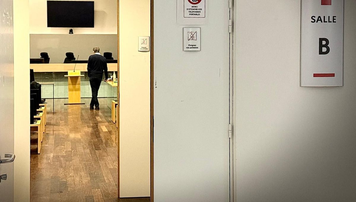 Un retraité condamné pour avoir acheté une poupée pédopornographique en Haute-Savoie