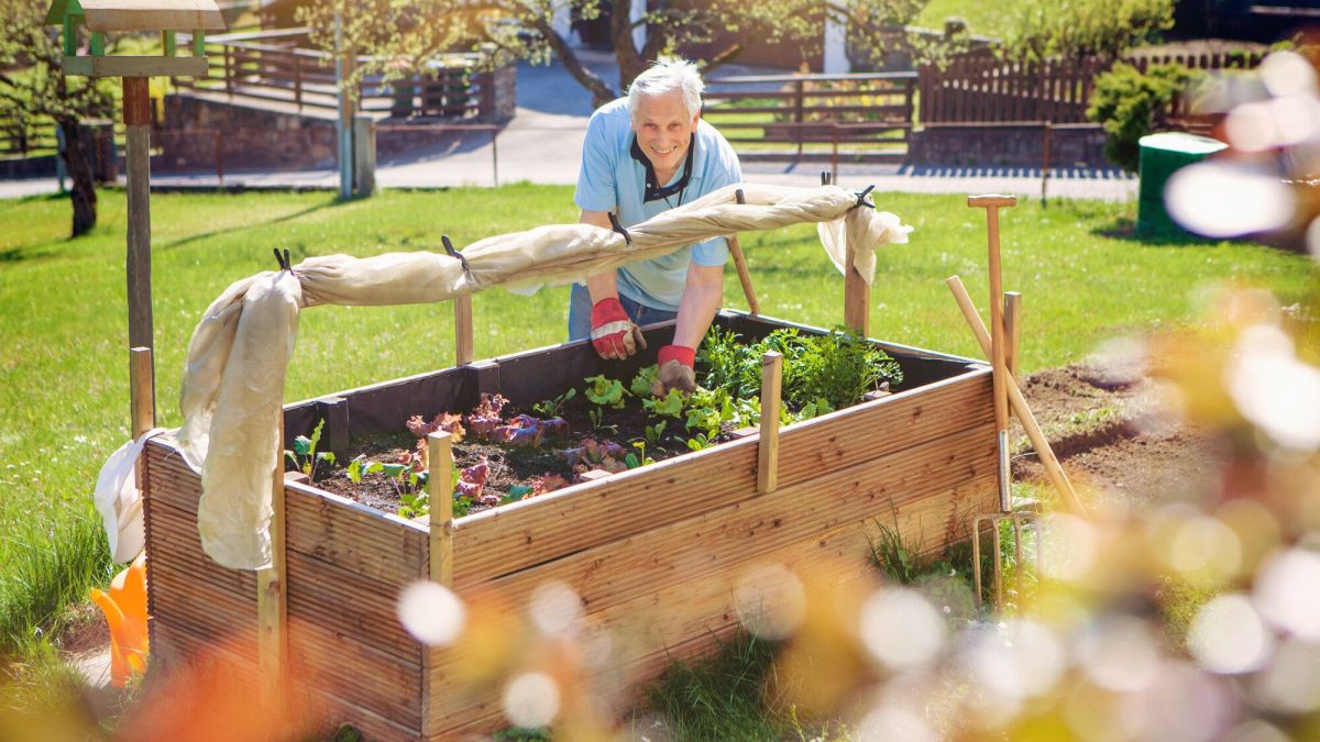 Vendre les légumes de son jardin : ce qu'il faut savoir