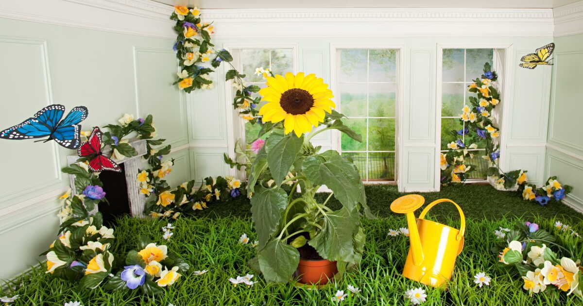 Dites adieu à la pollution intérieure : un souffle d'air frais