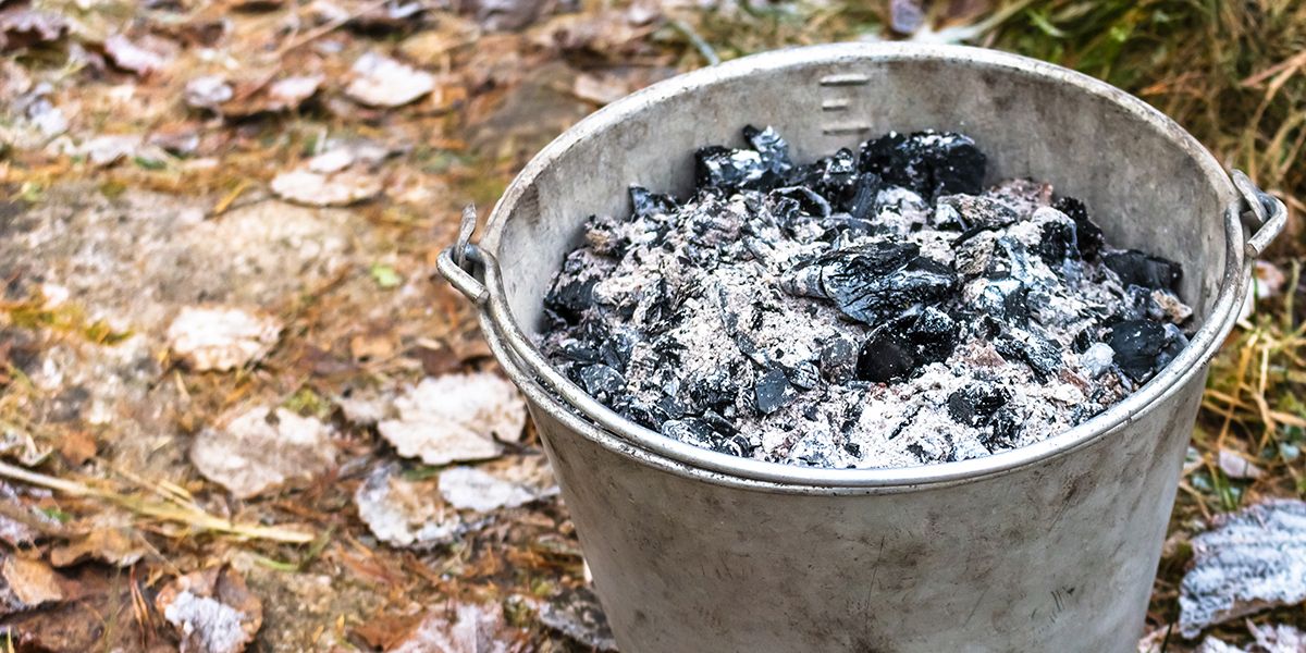 Découvrez les pouvoirs surprenants de la cendre de bois pour une maison éclatante
