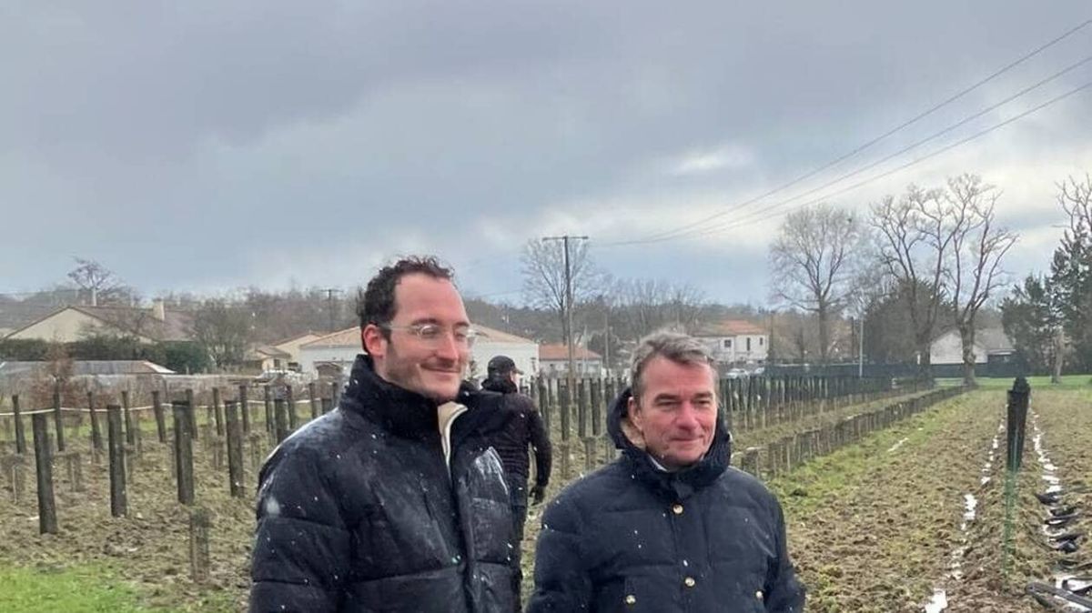 Les haies des Pays de la Loire : des alliées indispensables à la biodiversité