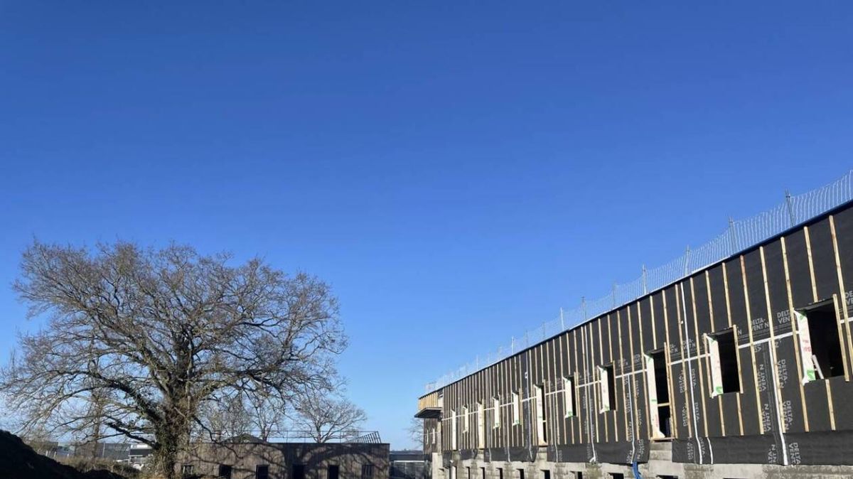 Des bureaux écoresponsables en Côtes-d’Armor : l'isolation à la paille