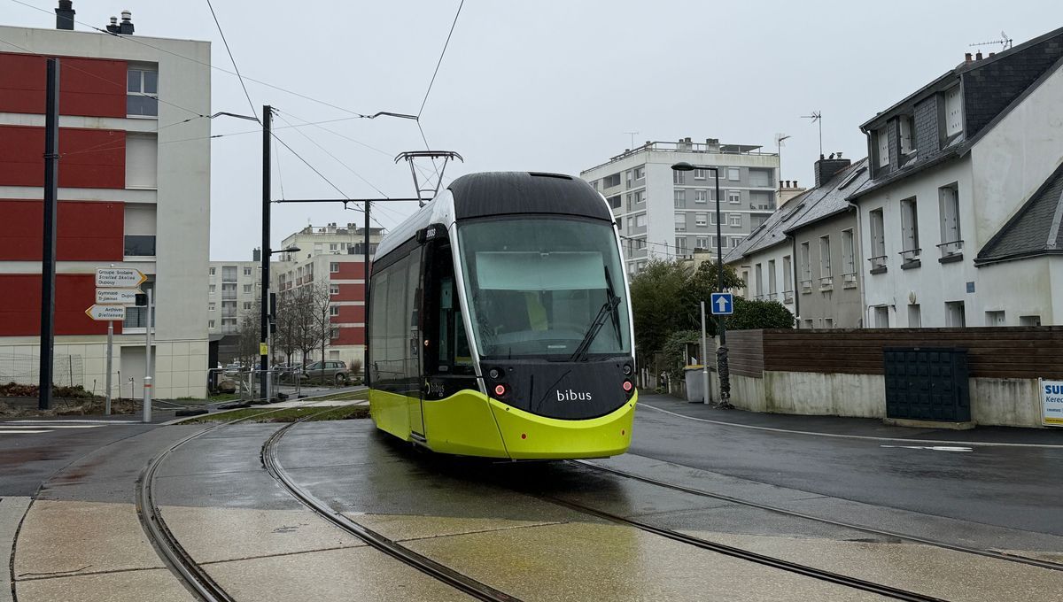 Brest révolutionne ses transports avec deux nouvelles lignes