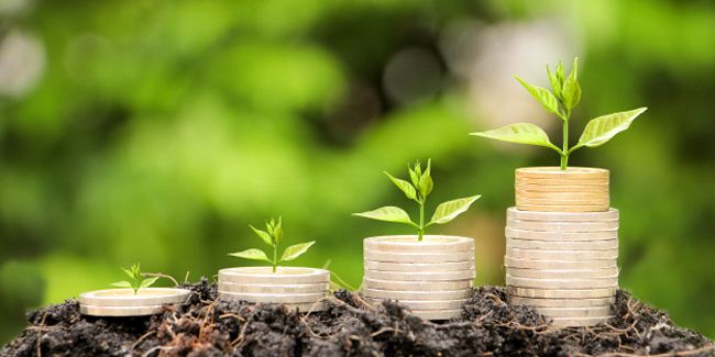 Le contrat d'assurance obsèques en capital : définition, explication