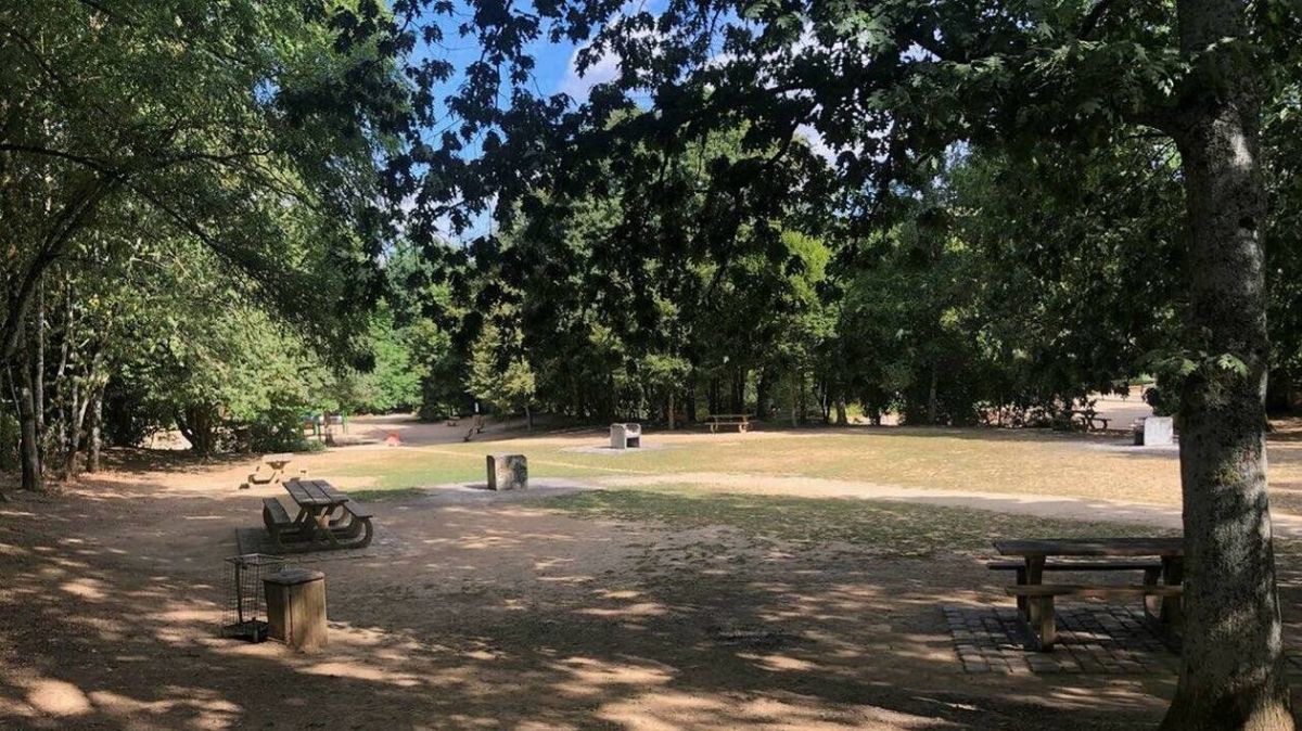 Drame au parc des Gayeulles : un frère condamné à 15 ans après un coup de couteau fatal