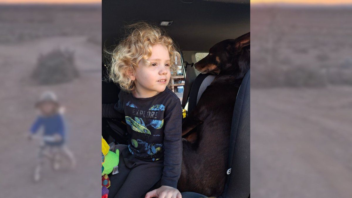 Disparition de Gus Lamont : la famille garde espoir alors que l'enquête stagne