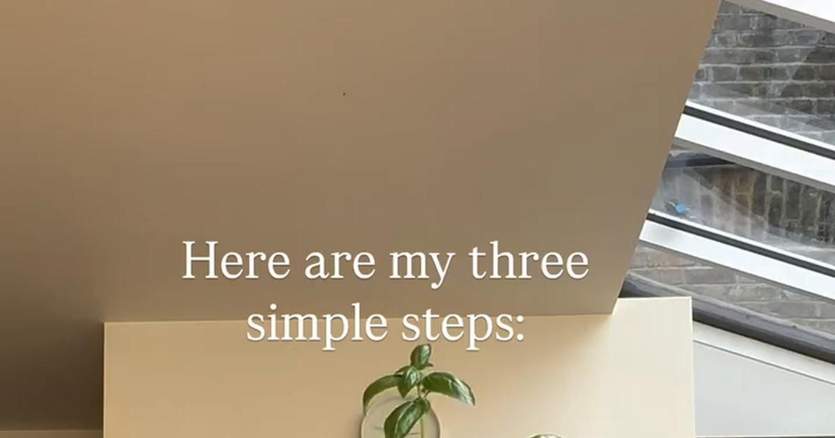 Transformez votre basilic de supermarché en plante majestueuse : les secrets révélés