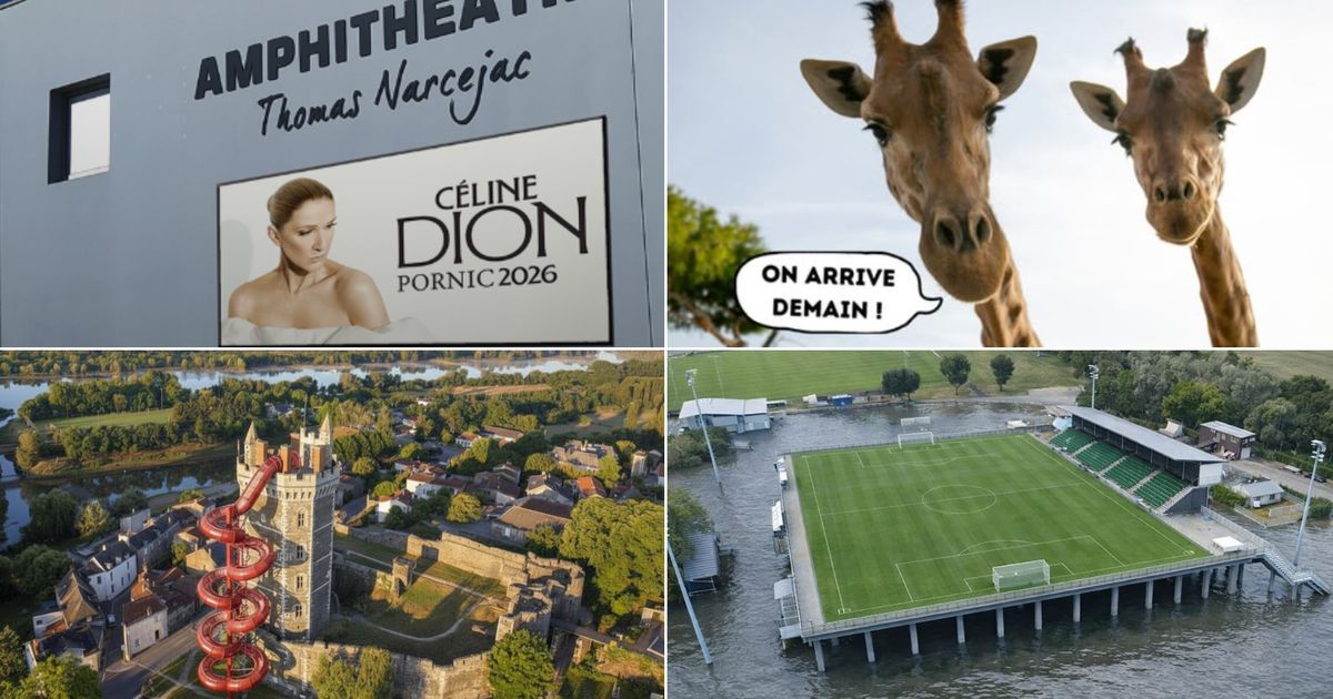 1er avril : la magie de l'IA pour des poissons d'avril inratables en Loire-Atlantique et Vendée