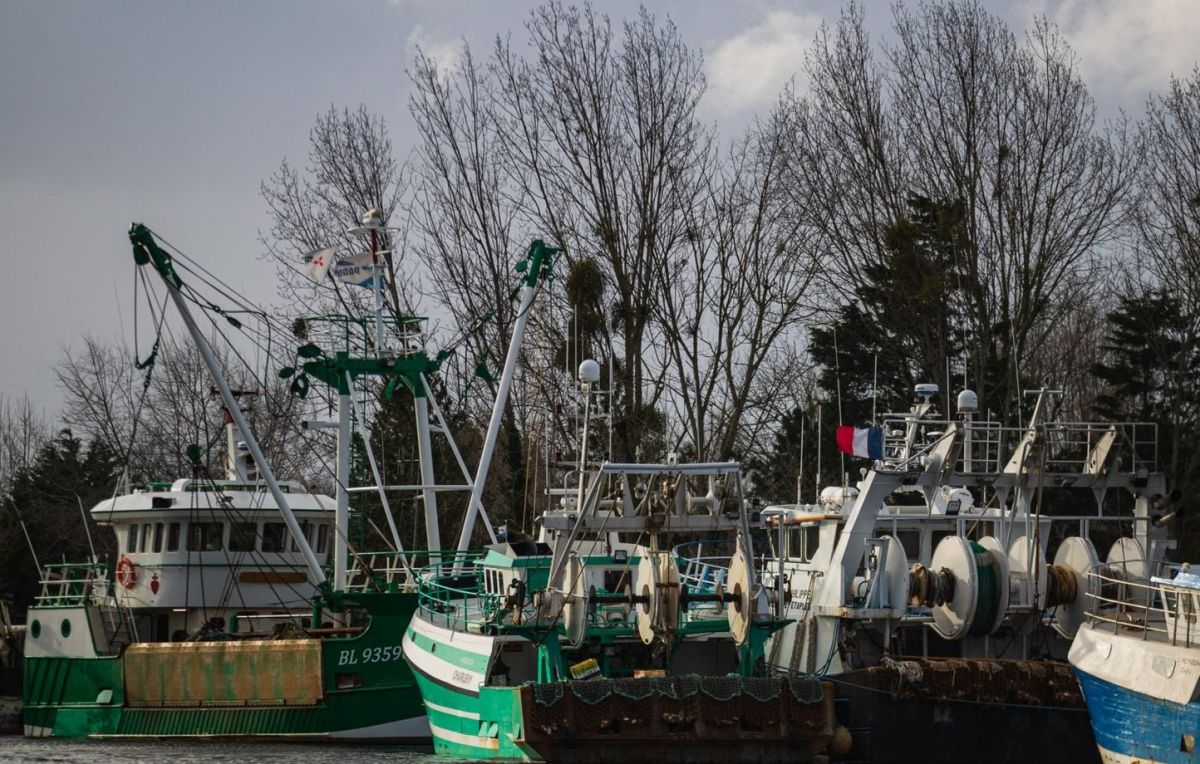 Un chalutier au passé trouble vendu aux enchères en Normandie