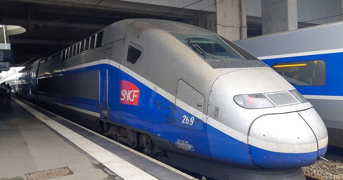 Des retards massifs sur les TGV après qu'un train ait heurté un animal