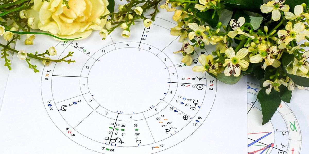 L'art des fleurs révélées par les étoiles : découvrez l'astrologie florale