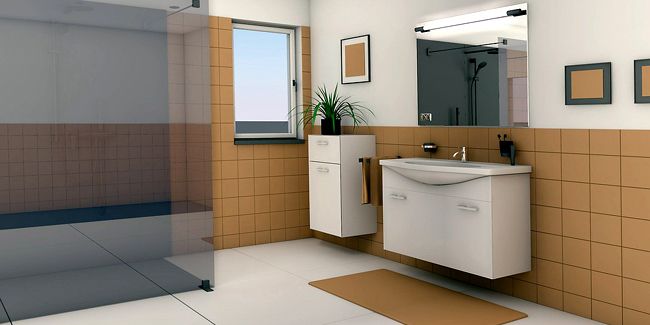 Idées d'aménagement pratique d'une salle de bain pour senior