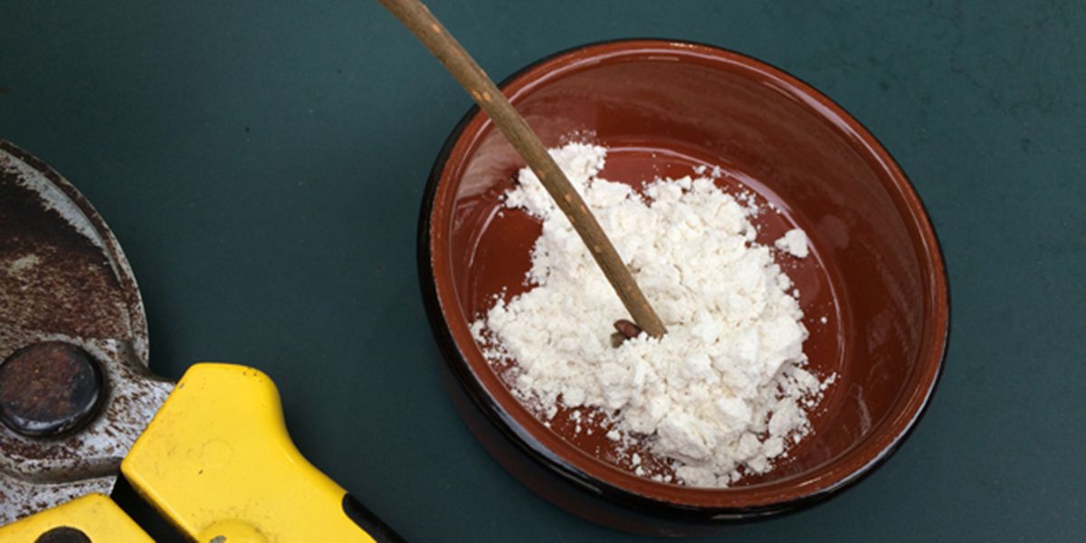 Hormones de bouturage : vers des solutions naturelles ou synthétiques ?