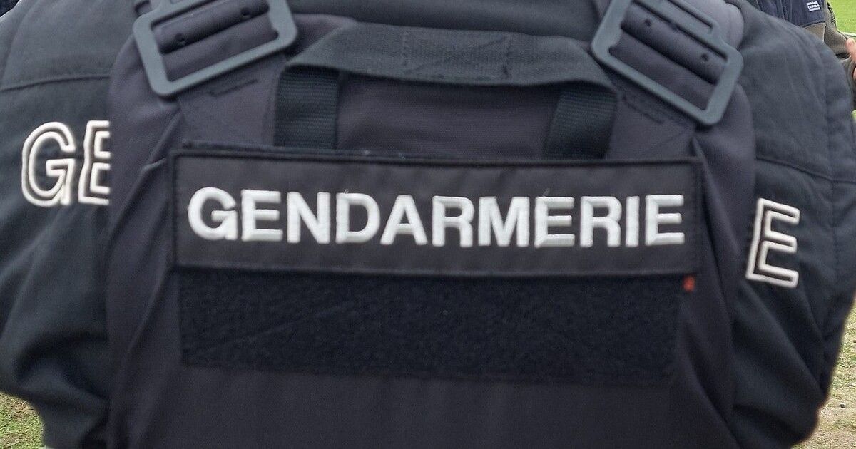 Dinan : un réseau de trafic de drogue démantelé par les gendarmes