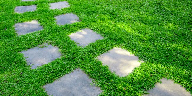 Aménagez votre jardin avec élégance : explorez les allées en pas japonais