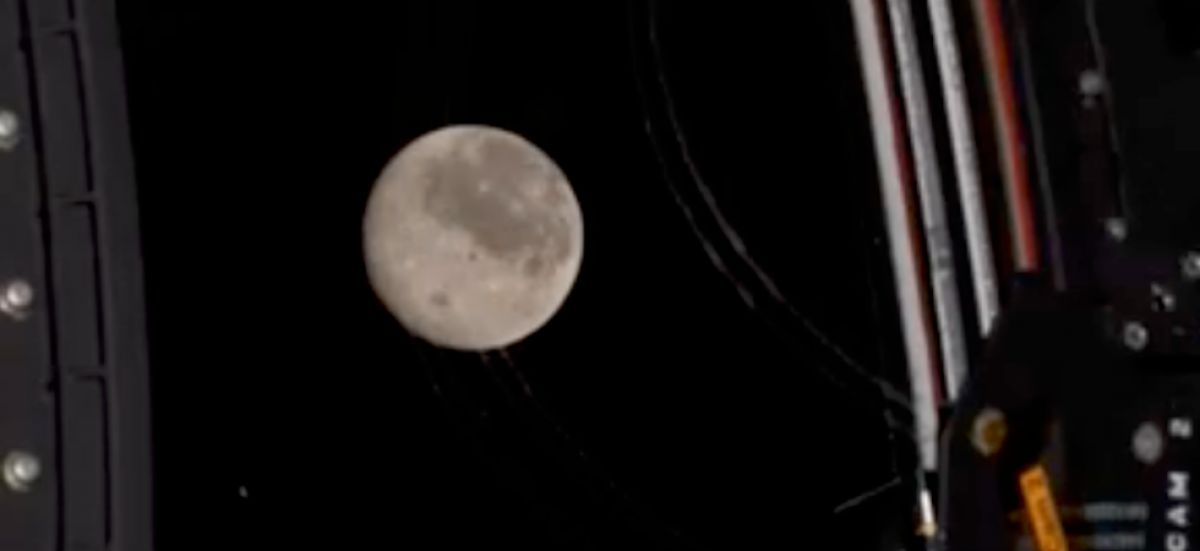 Artémis II : un pas de géant pour l'exploration spatiale