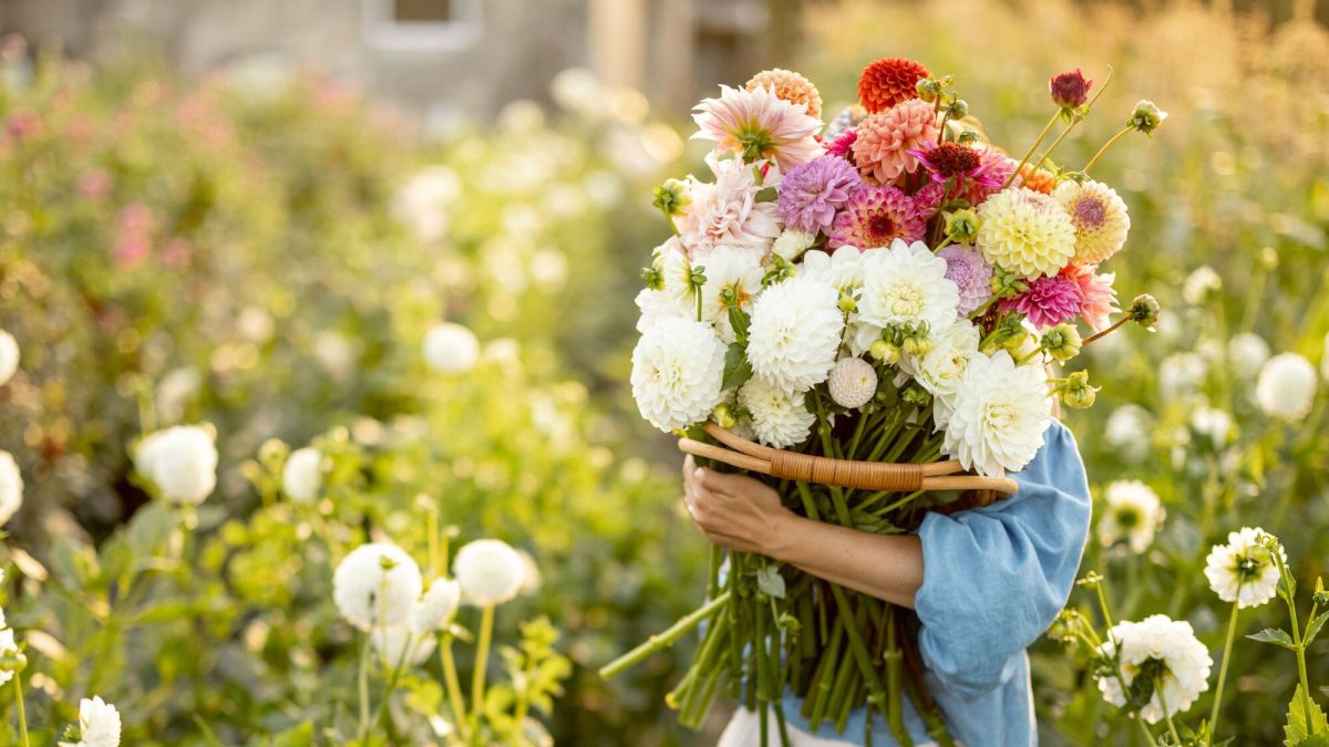 Les couleurs qui vont illuminer vos jardins en 2024